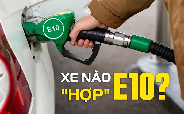 Thực Hư Về Xăng Sinh Học E5 và E10 – Lợi Ích và Những Lo Ngại Đáng Chú Ý Thực Hư Về Xăng Sinh Học E5 và E10 – Lợi Ích và Những Lo Ngại Đáng Chú Ý