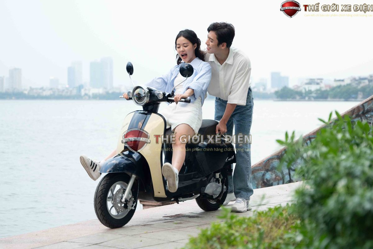 động cơ xe máy điện Dibao Creer Nile động cơ xe máy điện Dibao Creer Nile