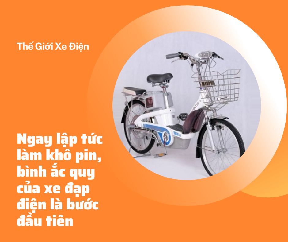 xe đạp điện