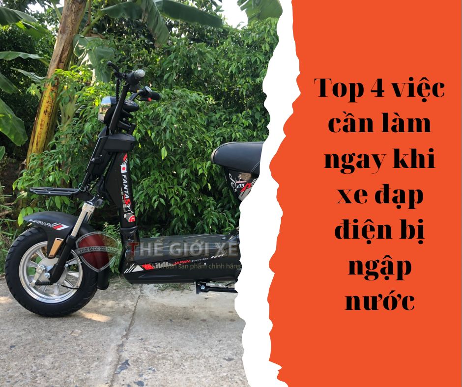 xe đạp điện xe đạp điện