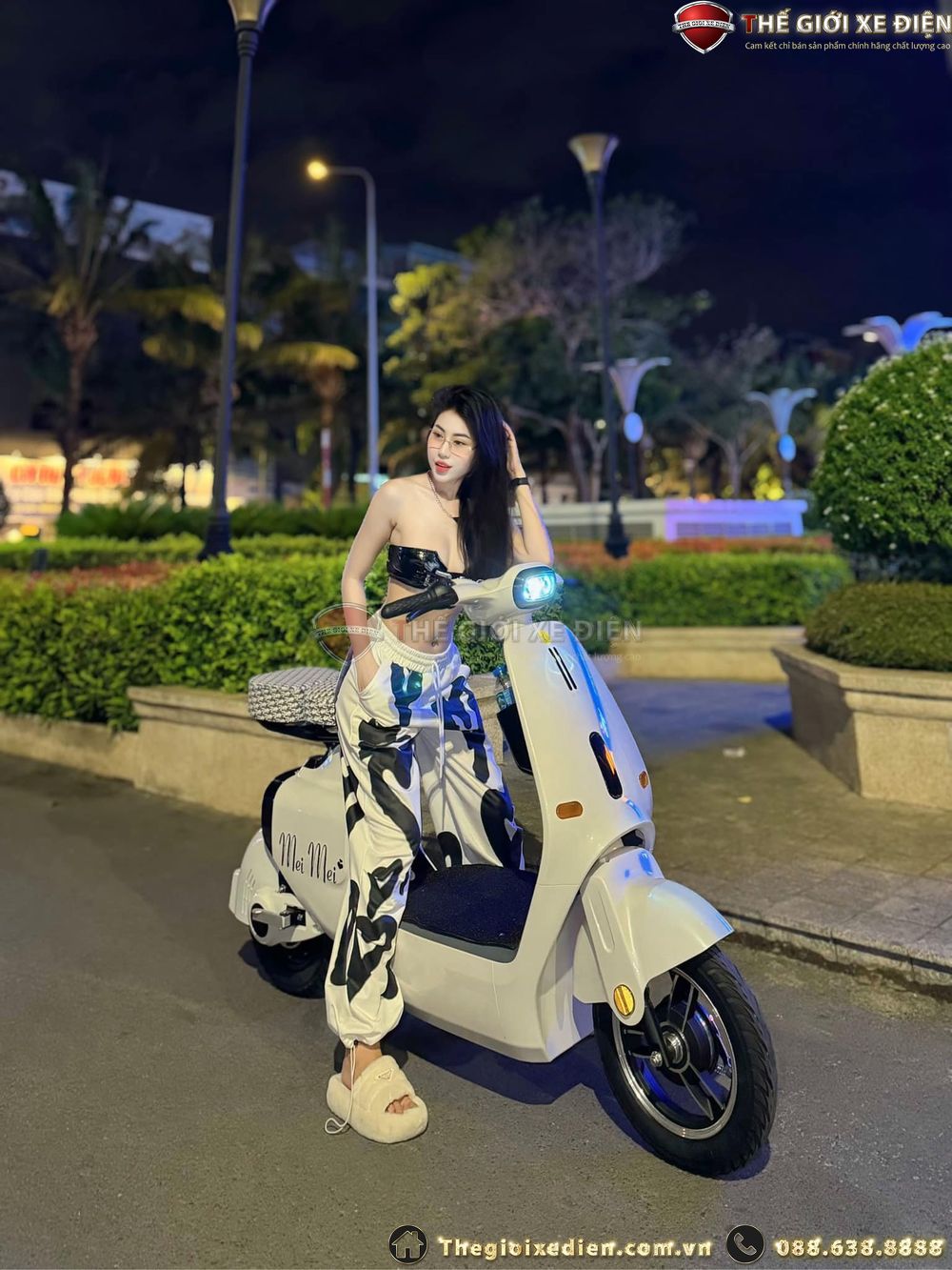 bình ắc quy xe đạp điện bình ắc quy xe đạp điện