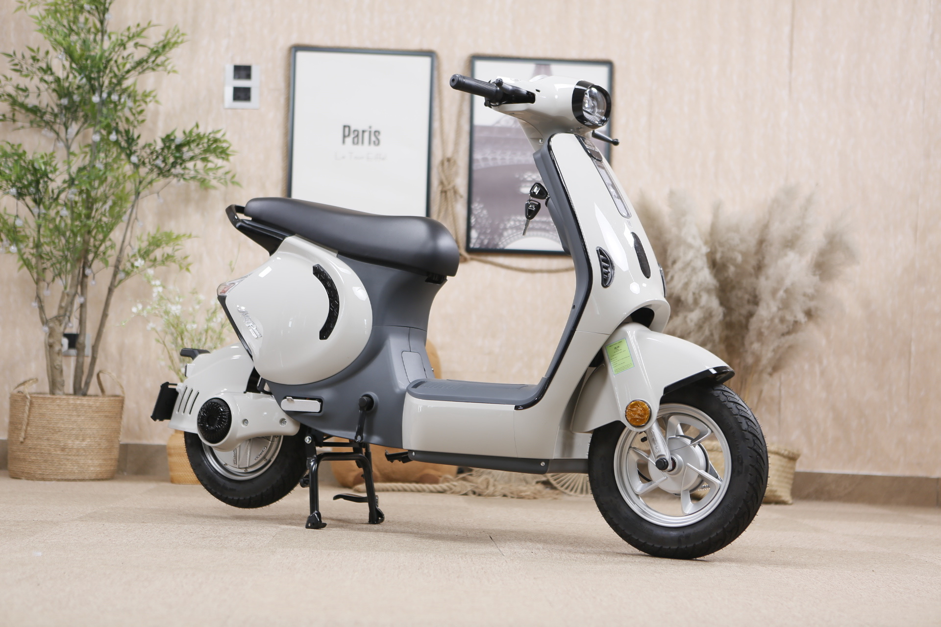 Dibao M1P l&agrave; mẫu xe điện chuẩn quy định