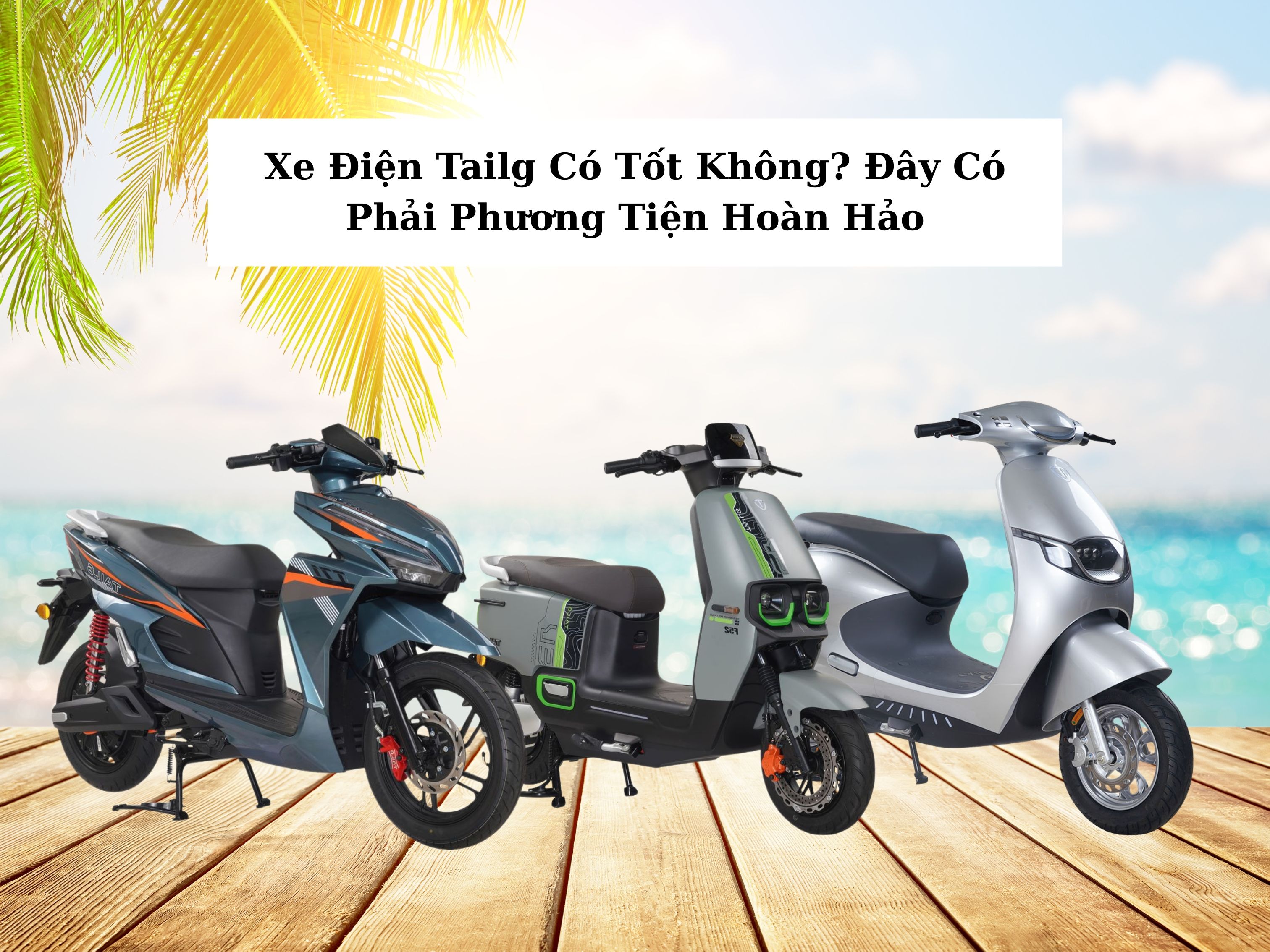 Xe điện TAILG bảo hành bao lâu