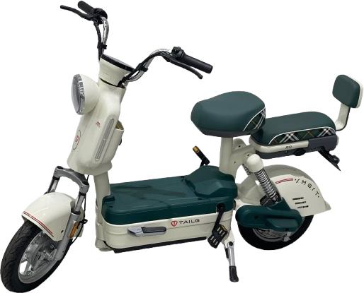 Cách sạc xe đạp điện đúng cách Cách sạc xe đạp điện đúng cách