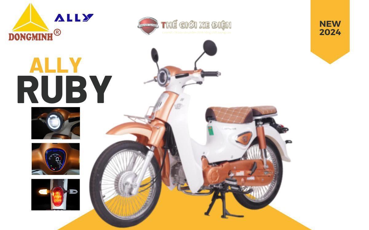Xe Máy 50cc Cub New 50SE Vigor Ally Xe Máy 50cc Cub New 50SE Vigor Ally