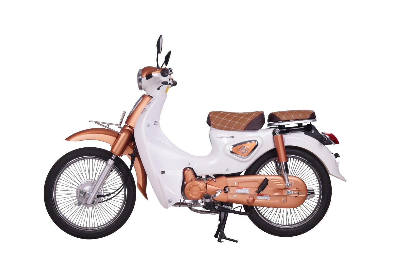Xe Máy 50cc Cub New 50SE Vigor Ally Xe Máy 50cc Cub New 50SE Vigor Ally
