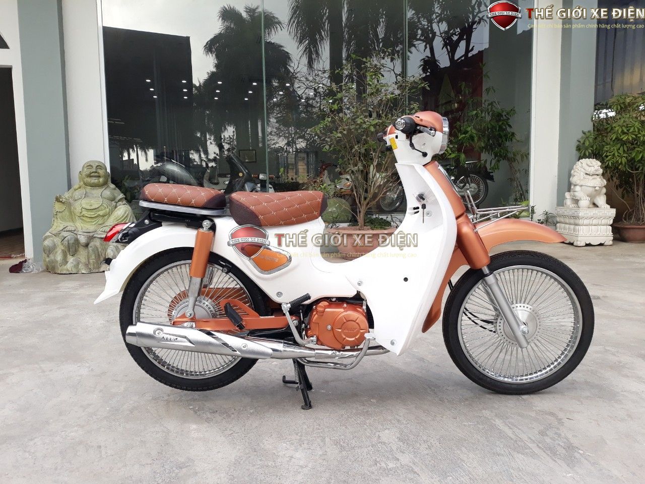 Xe Máy 50cc Cub New 50SE Vigor Ally Xe Máy 50cc Cub New 50SE Vigor Ally